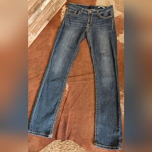 Daytrip Virgo Straight Leg Jeans